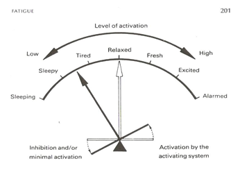 Model teoritis mekanisme neurophysiological yang mengatur fungsi tubuh