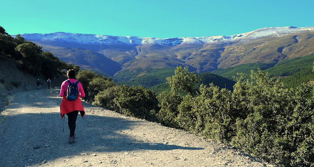 Umbría la Mata, Sierra Nevada