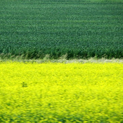 IMG_0077 copy