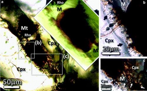 Another Meteorite Supports The Likelihood Of Martian Life