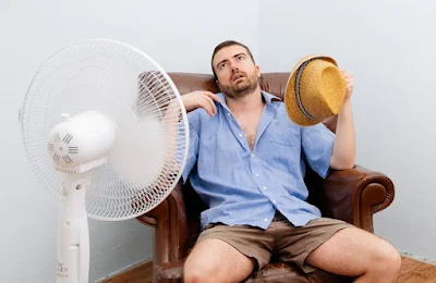 Cómo tener fresca la vivienda cuando hace calor (sin aire acondicionado)
