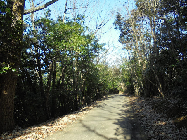 清水寺線を降ります