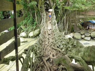 jembatan akar,jembatan akar sumatera utara,jembatan aka, wisata alam, sejarah jembatan akar