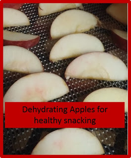 dehydrating apple slices for healthy snacks