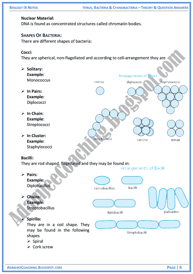 virus-bacteria-and-cyanobacteria-theory-notes-and-question-answers-biology-notes-for-class-9th