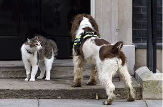 4: Larry, Jefe Ratonero de Downing Street