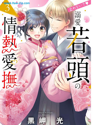 止めないで・溺愛若頭の情熱愛撫 Tomenaide Dekiai Wakatama No Jonetsu Aibu 第01-03巻