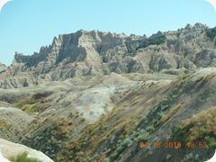 DSCN0729