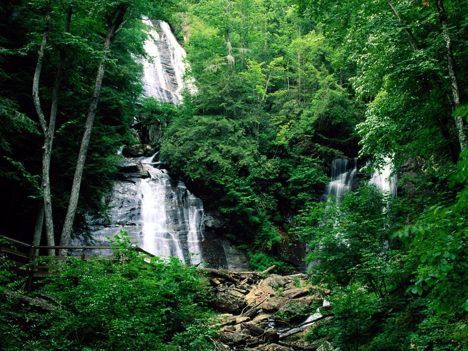 Forest Waterfall