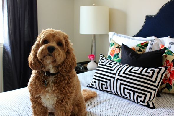 Paloma Contreras Design | Biscuit Bedding | Polka Dots | Greek Key