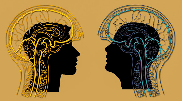 Human Brain Asymmetry and Lateralization