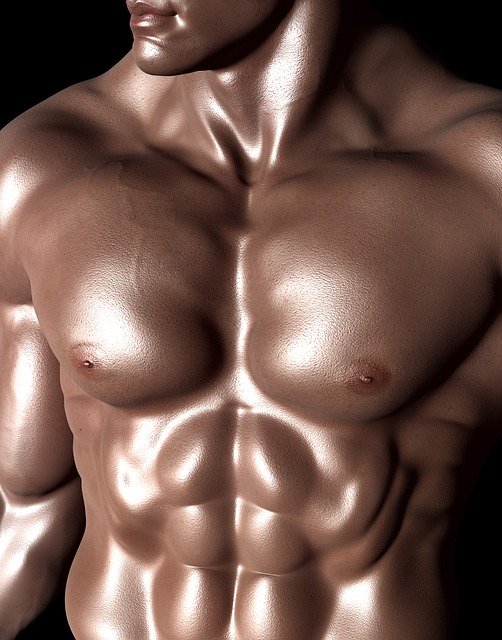 how to build muscle and lose fat at home