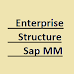 Enterprise Structure Sap MM
