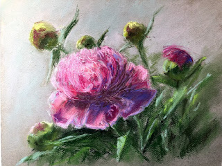 Pink peonies. Soft pastel.