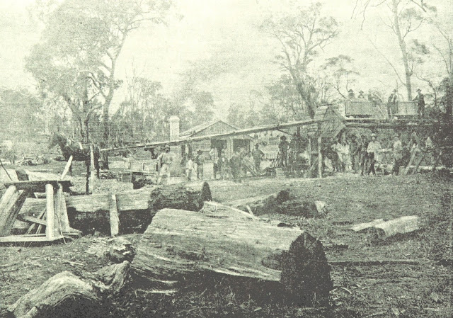 Tin Mining in New South Wales in 1895