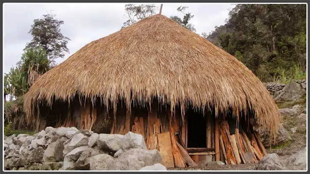Gambar Model rumah adat Papua