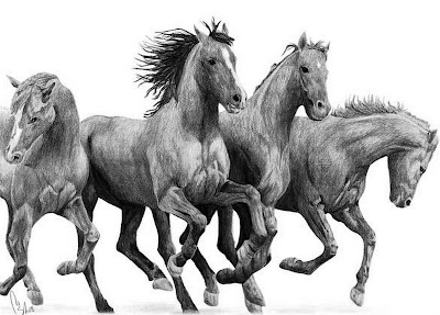 dibujos-de-caballos