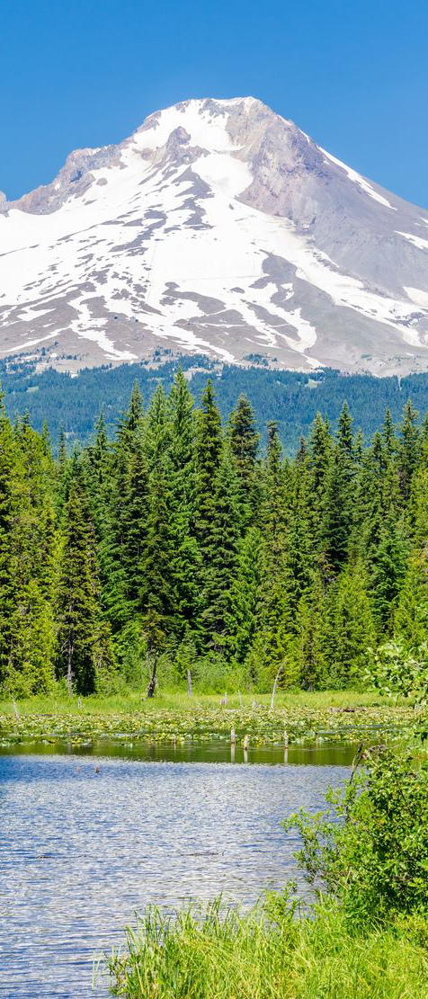 Mount Hood National Forest, Oregon and 50+ Secret Places in America That Most Tourists Don't Know About