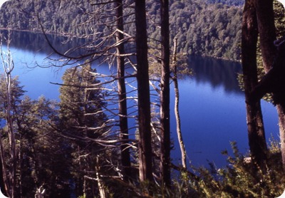 Neuquen