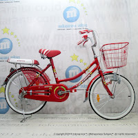 City Bike Exotic ET-9788 20 Inci