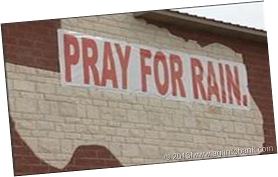 pray for rain(1)