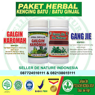 obat batu ginjal