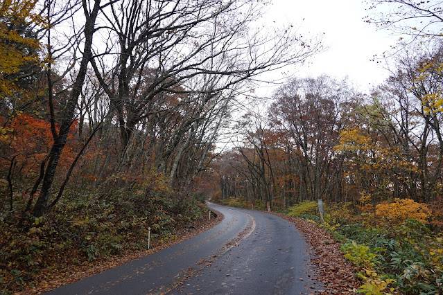 鳥取県道45号倉吉江府溝口線（大山環状道路）