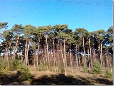 2012-01-27 12.40.56