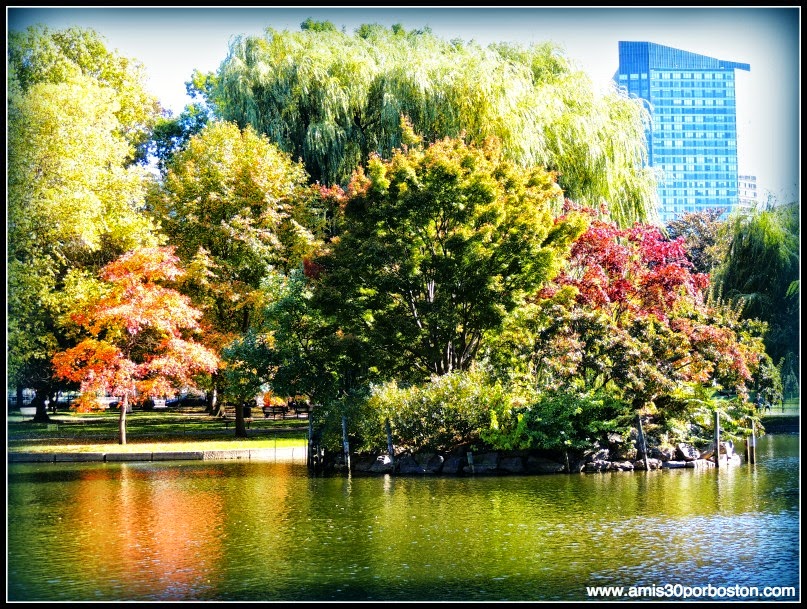 Boston Public Garden