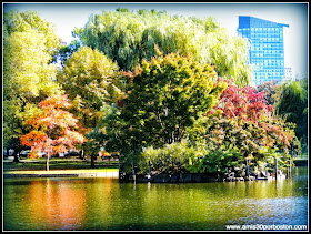 Boston Public Garden