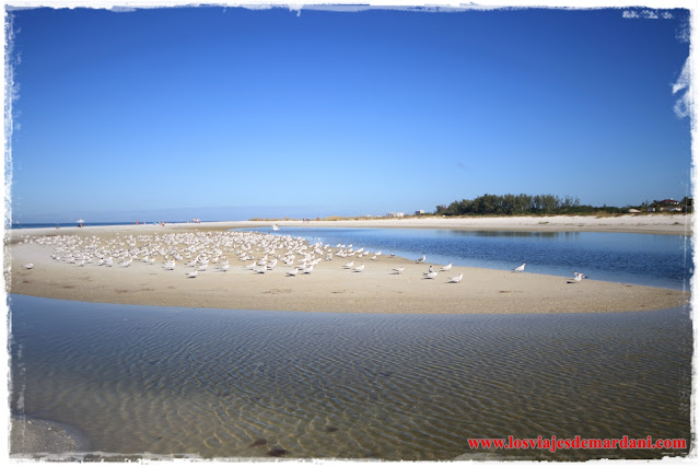 Lido Key Beach