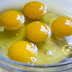 Eggs and sperm your life 