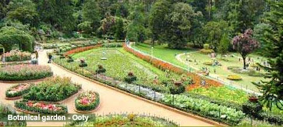 Ooty Botanical Garden