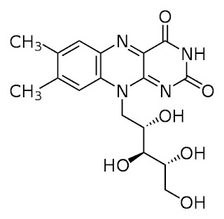 Makanan Sumber dan Fungsi Vitamin B2 (Riboflavin) : Akibat 