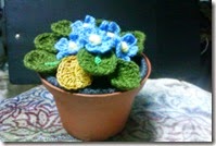 Crochet African Violets 1