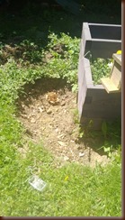WP_20130506_004