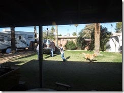 IMG_4166