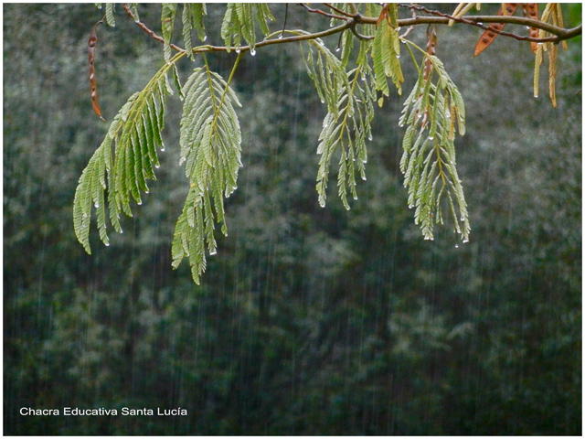 Lluvias de abril - Chacra Educativa Santa Lucía