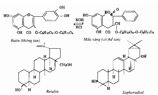 Thành phần hóa học Hoa Hòe - Sophora japonica - Nguyên liệu làm thuốc Hạ Huyết Áp