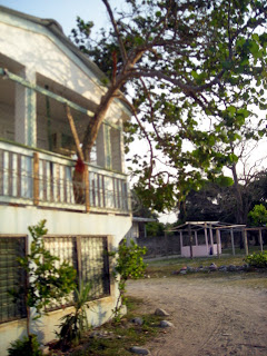 tree growing through house, Honduras