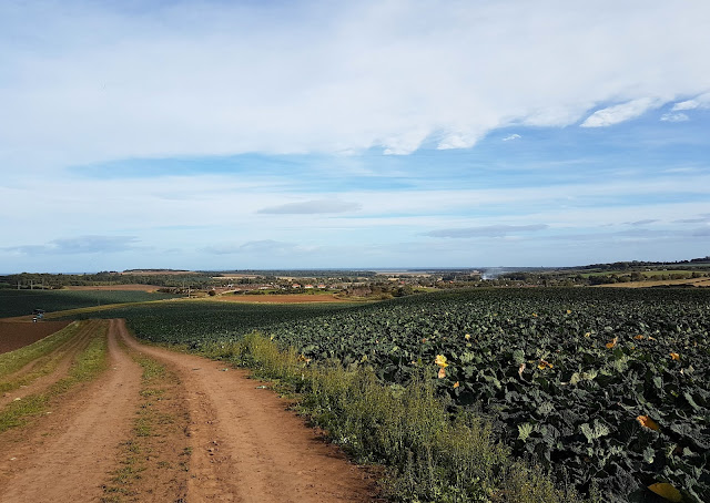 Looking back to East Linton and Dunbar beyond