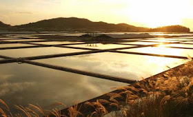 Taepyeong Salt Farm