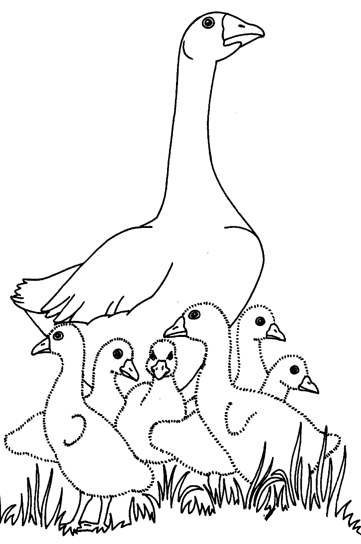 Pictures of animals for coloring