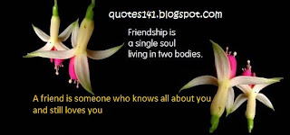 Friendship quotes