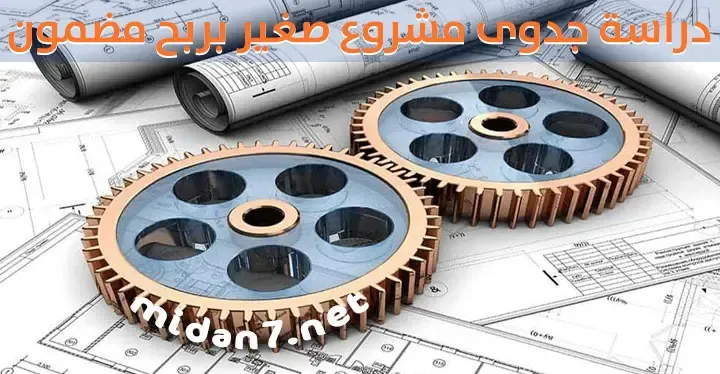 دراسة جدوى مشروع صغير بربح مضمون