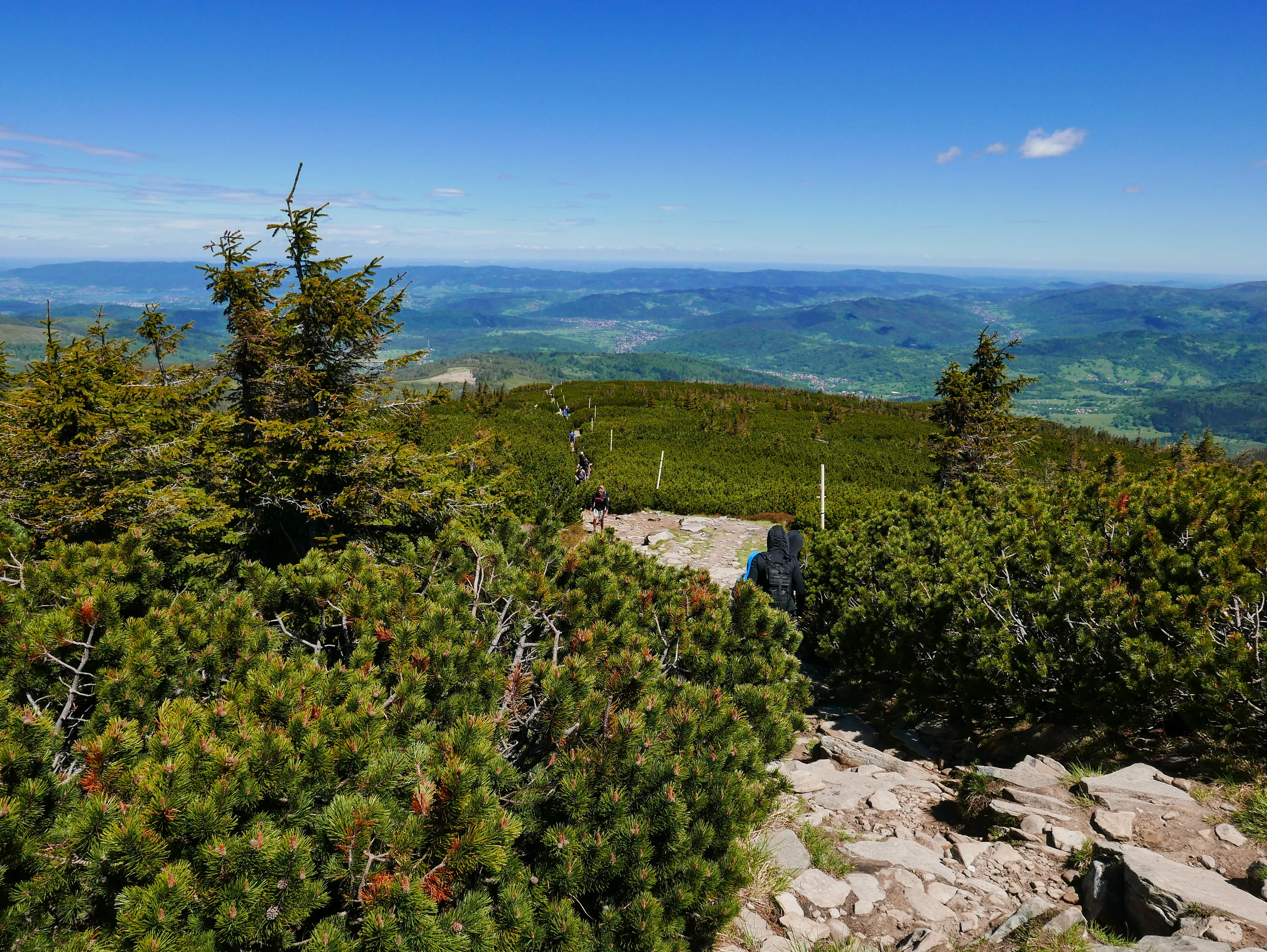 Beskid Żywiecki: szlak na Pilsko 1557 m n.p.m.