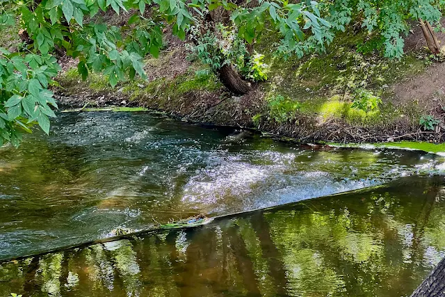 Парк Яуза, река Яуза, перекат