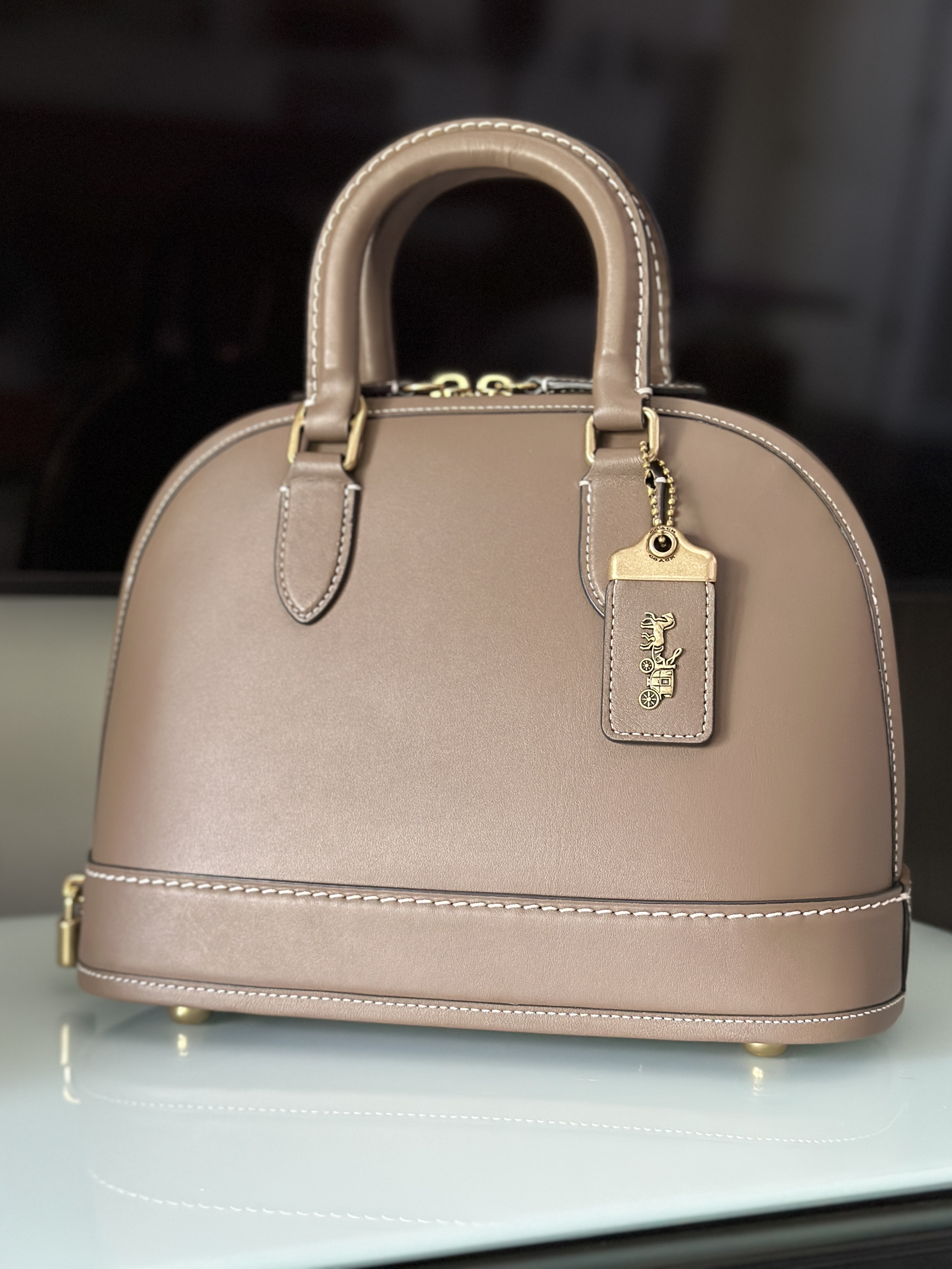 Review! Coach Revel Bag & WMTM Update!