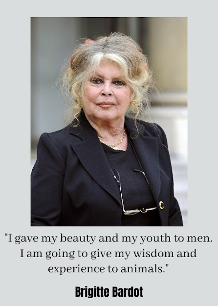 Brigitte Bardot Quote on Ageing