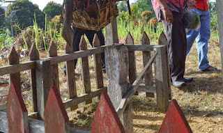 Foto - Foto kegiatan Ritual Adat Nosu Minu Podi, - Gawai Dayak Sanggau